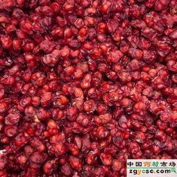 天馬安徽中藥飲片科技 中成藥供應(yīng)與創(chuàng)新